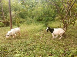 photo 2025 06 16 13 29 36 2