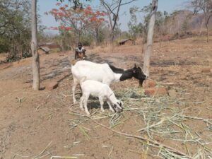 photo 2025 10 25 06 36 57