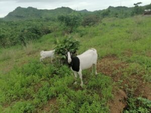 photo 2025 12 29 06 37 53