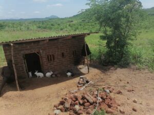 photo 2026 01 20 01 01 17