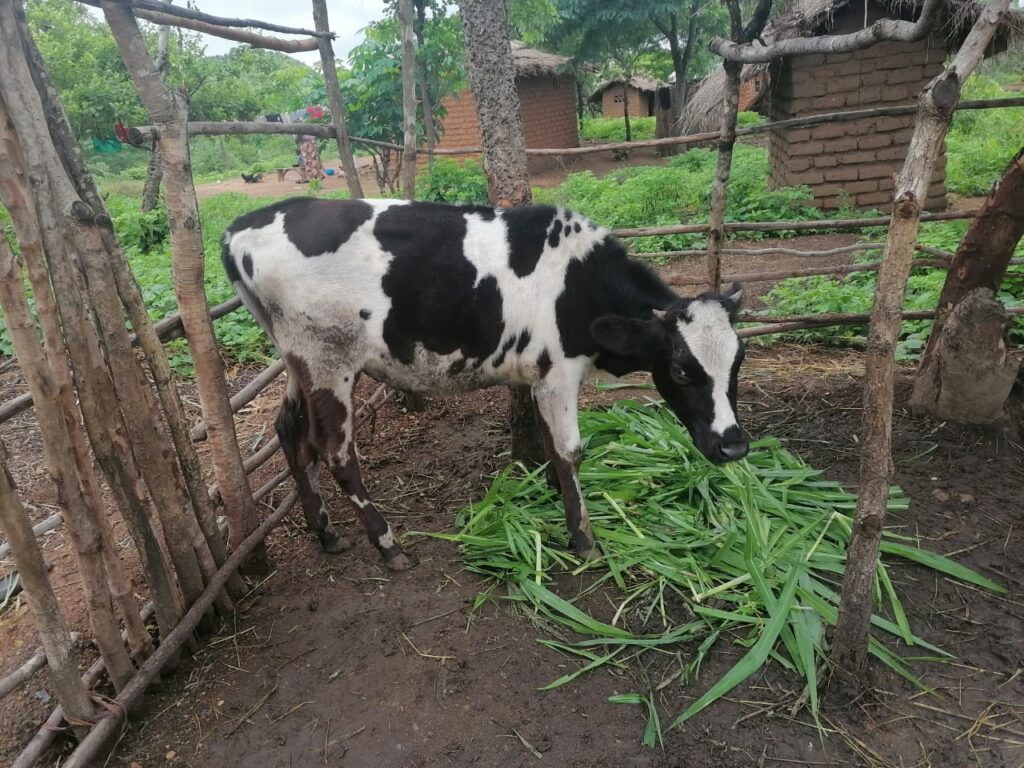 photo 2026 01 21 01 40 33