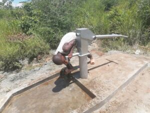 photo 2026 02 04 03 17 10