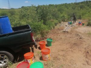 photo 2026 02 05 02 56 12