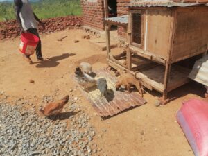 photo 2026 02 12 00 25 17