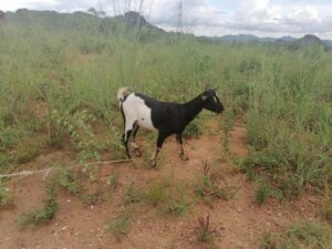 photo 2026 02 19 05 49 38