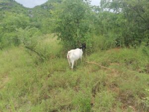 photo 2026 02 19 05 49 39 2