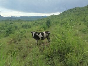 photo 2026 02 19 05 49 39